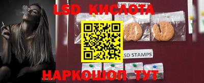 мяу мяу кристалл Малоярославец
