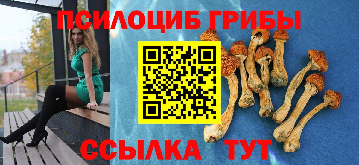 Галлюциногенные грибы Psilocybine cubensis  Вход с VPN  Гусиноозёрск 